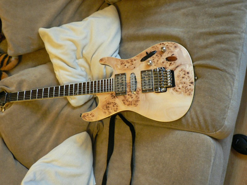 Anyone with an Ibanez S Sabre series guitar Pickup ideas