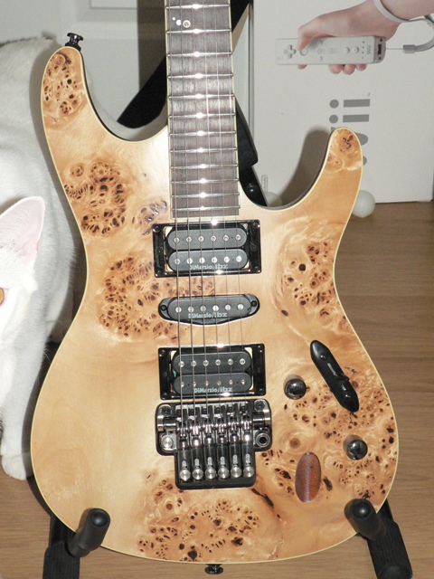 Ibanez s2170fw hotsell